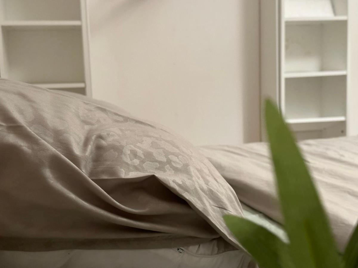 Appartement Logement Entier 2 Chambres Centre Bruxelles